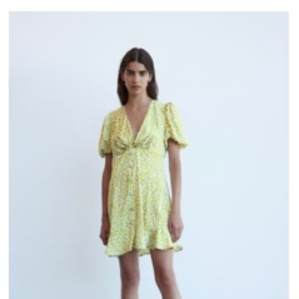 Zara dress
